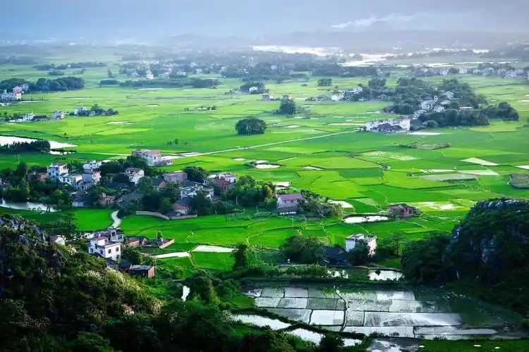 政府工作报告出炉，2025年生态环保工作这么干！