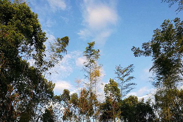 包河区生态环境分局：蓝天不是等出来的，是干出来的