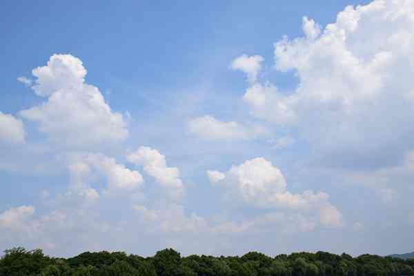 淮南市：强化源头管控 掀起大气污染防治“夏季攻势”