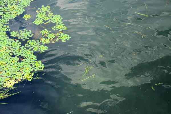 常州市召开全市污染防治攻坚推进会 