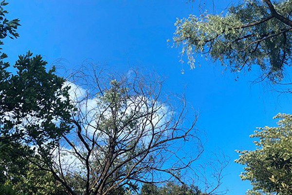 乌鲁木齐道路积尘治理有妙招：动态监测 联合督导，助力空气质量改善