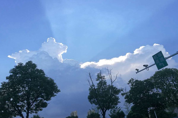 安徽臭氧防控的科技逆袭：走航监测精准狙击，污染天数骤降近三成！